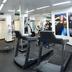 Palestra