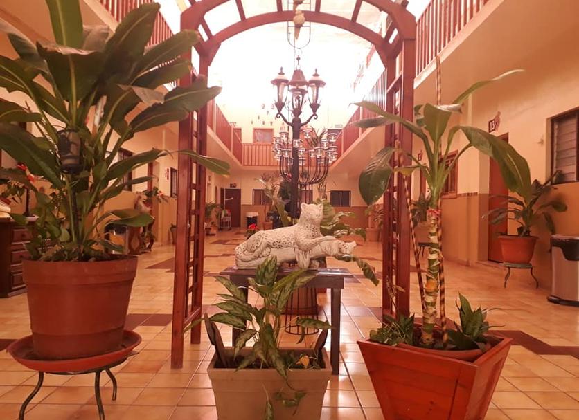 Ingresso Foto