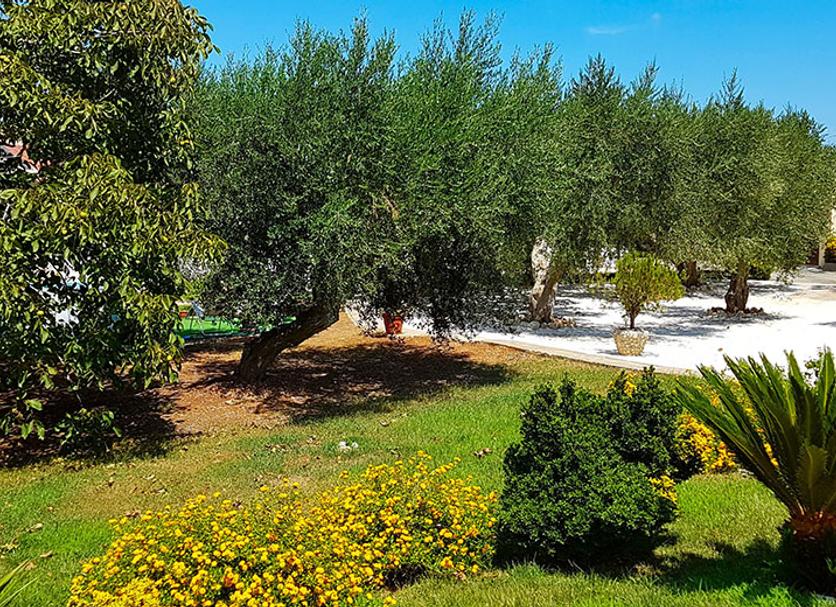 Vista esterna Foto