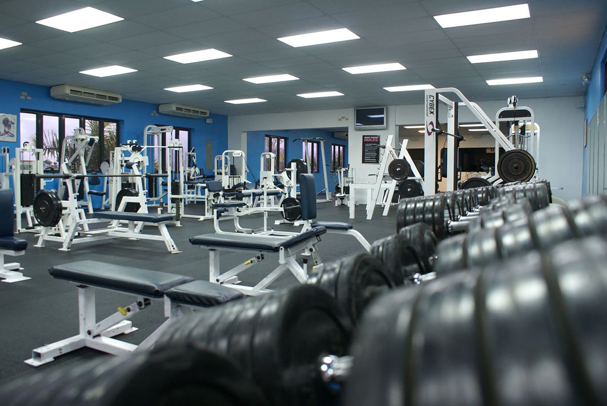 Palestra